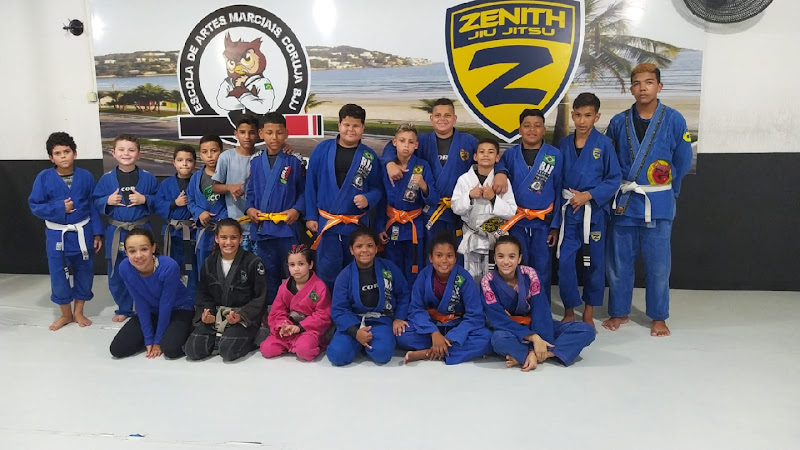 Escola de artes Marciais Coruja BJJ foto 1