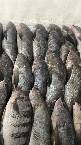 PEIXARIA ESTRELA UNIDADE 2 foto 1