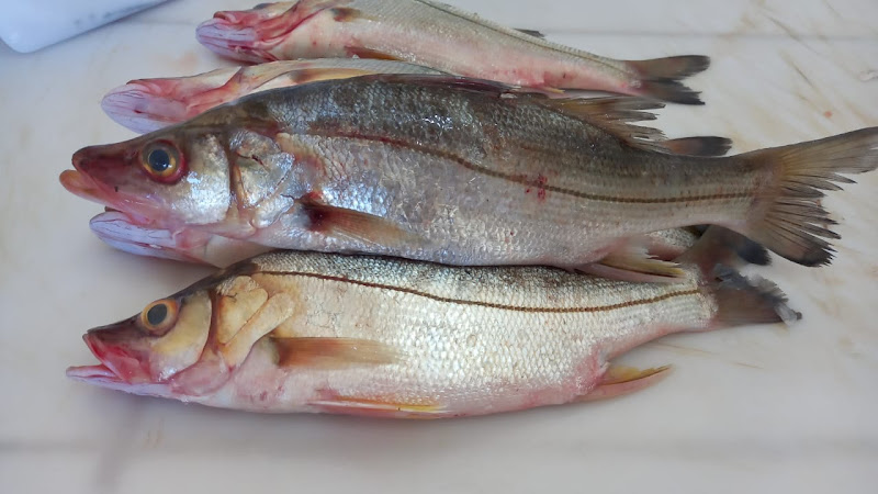 Peixaria Pedros Pescados foto 1