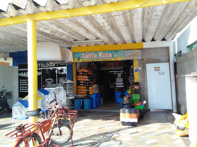 Pet Shop Santa Rosa foto 1
