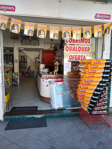 Petland Guarujá - Santo Antonio foto 1