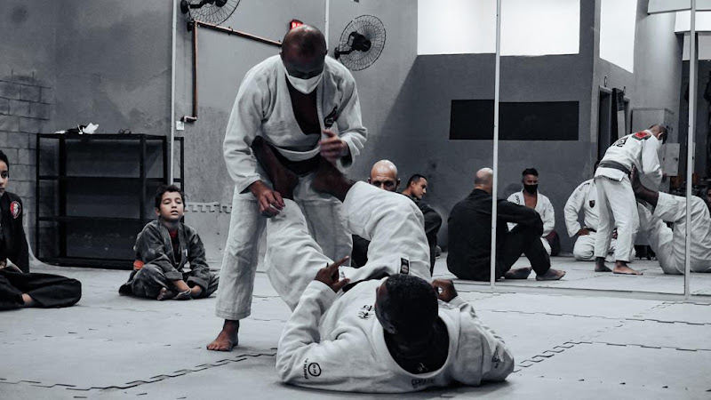 Roots of Old School Bjj foto 1