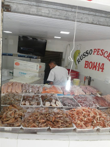 Russo PESCADOS BOX 14 foto 1