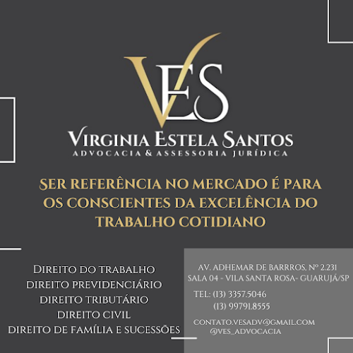 VES - Virginia Estela Santos - Advocacia e Assessoria Jurídica foto 1